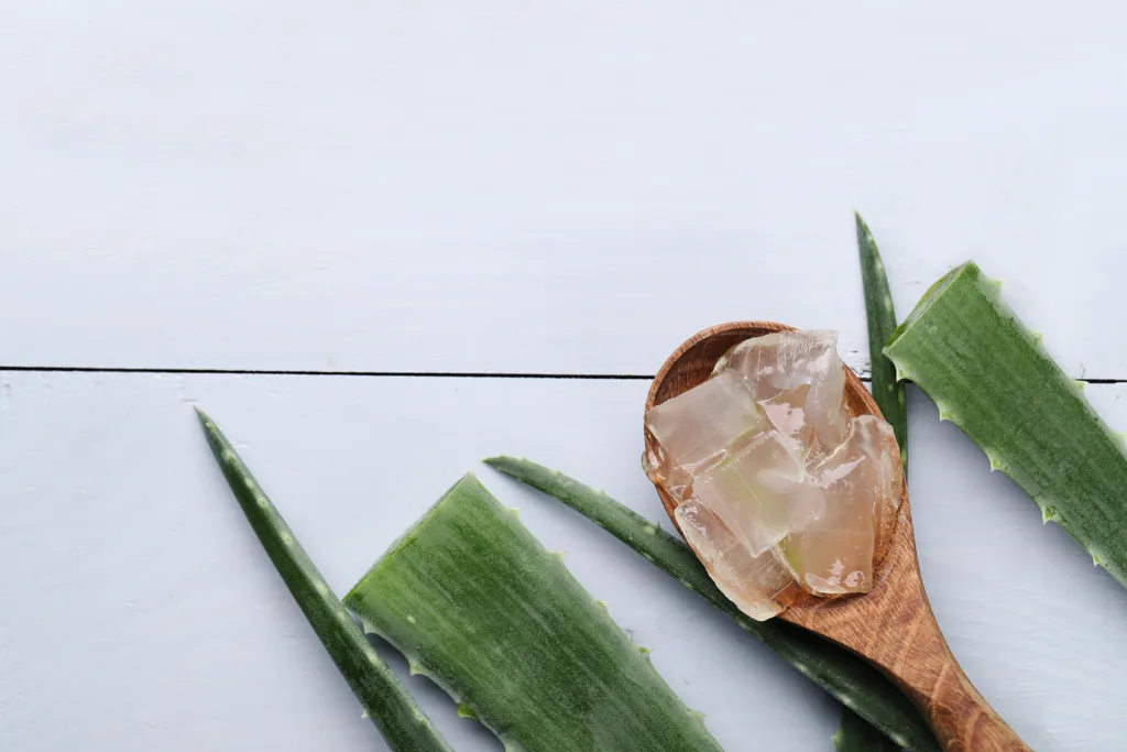 Aloe vera Treatment for Dandruff
