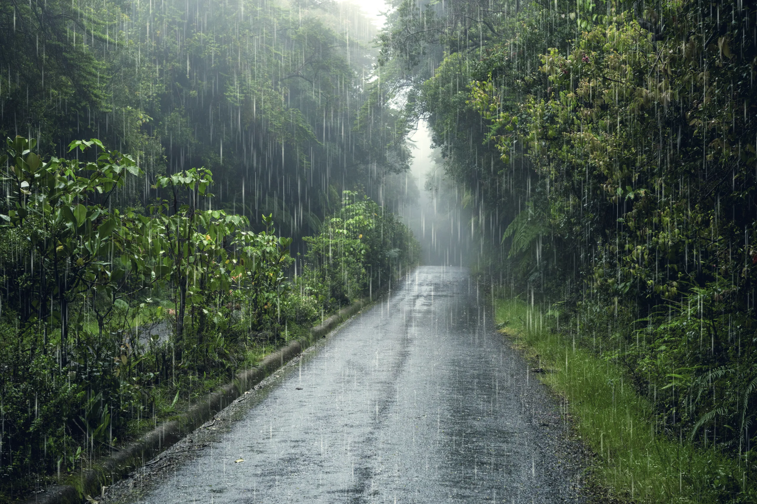 Monsoon hair care tips
